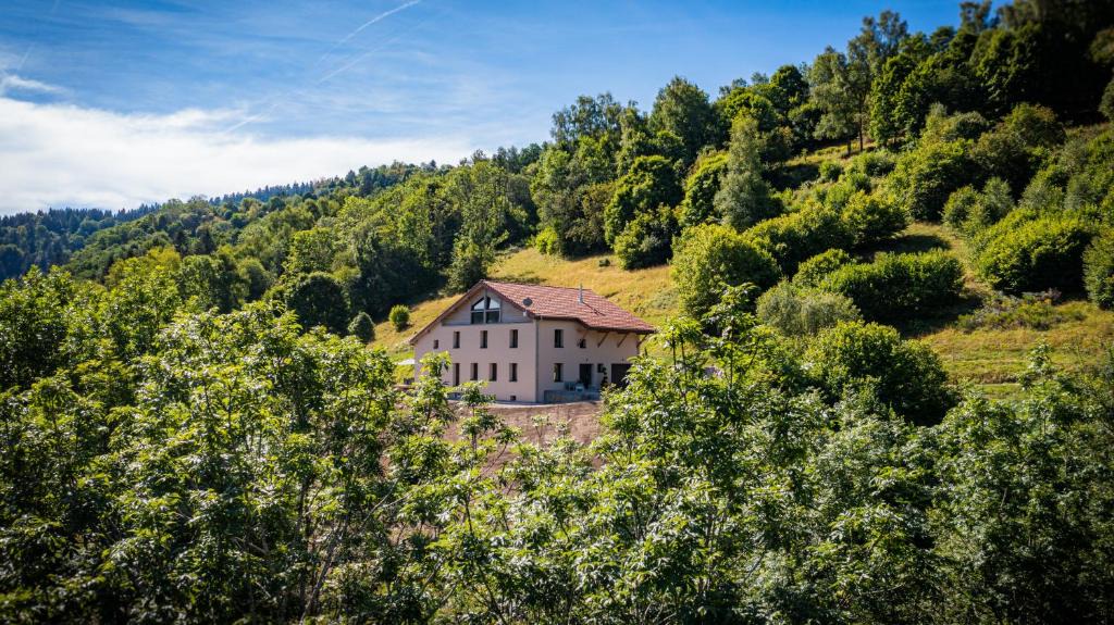 La Bresse Ski Chalet | Le 11 des Bouchaux, Gîte d'exception