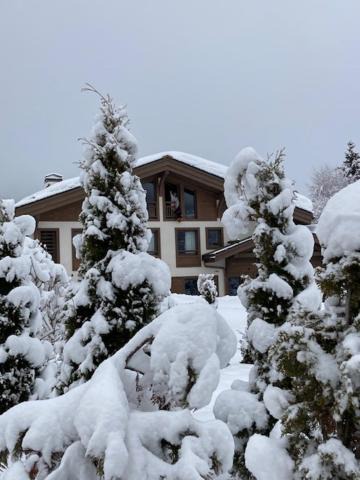 Le Planellet Apartment | LE 1307