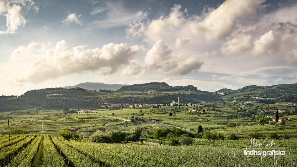 Marano di Valpolicella House | Le Bignele