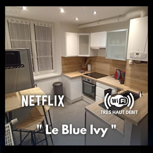 Le Creusot Apartment | Le Blue IVY Hyper centre 2 chambres Tout équipe