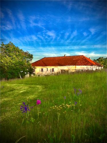 Cazes-Mondenard Bed & Breakfast | Le Bouyssou