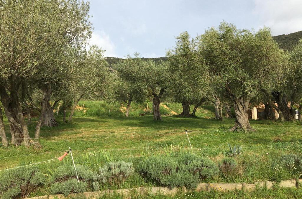 Cucugnan Other | Le Camping de Cucugnan