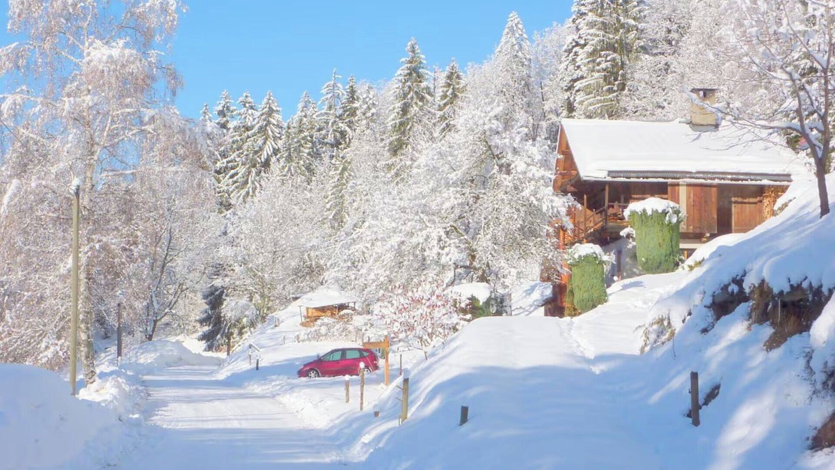 Queige Ski Chalet | Le Chalet de Marie near Les Saisies