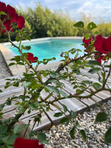 Villemoustaussou Bed & Breakfast | Le chant des cigales