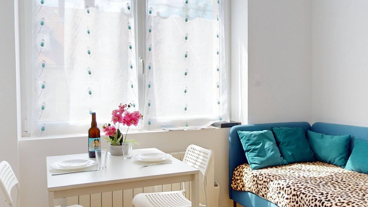 Quartier Saint-Leon Apartment | Le Charme Colmarien