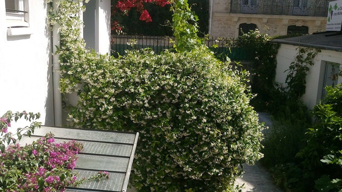 Gares Bed & Breakfast | Le Clos Chez Michel