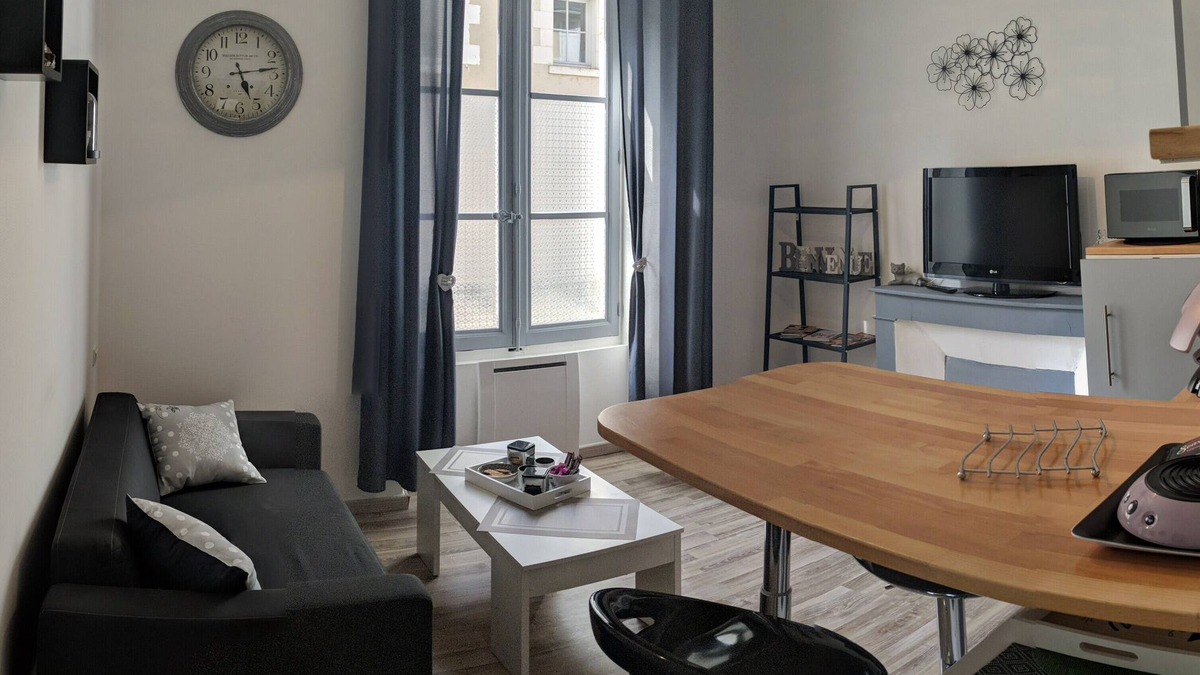 Blois Apartment | Le Cocon de Blois Amboise 1 bedroom apartment with private terrace