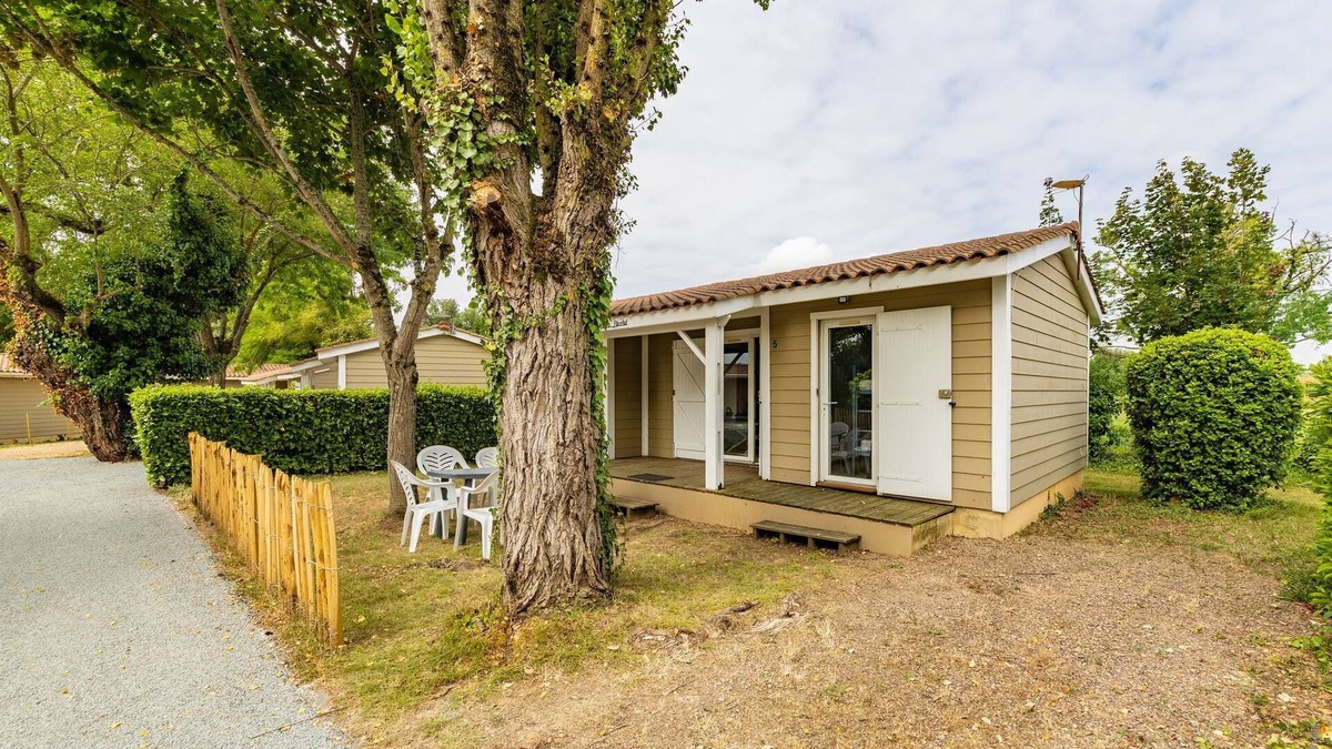 Aiguelèze Cottage | Le Cocon du Cèdre - Terrace - Swimming pool