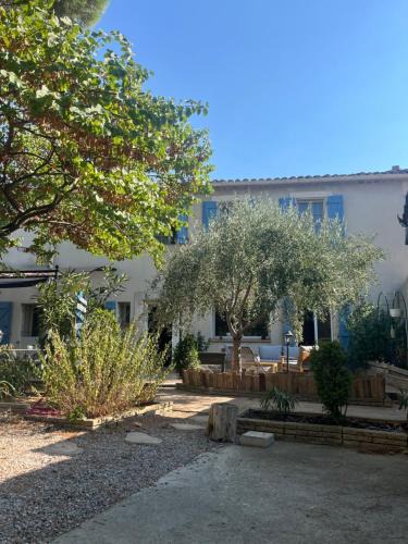 Argeliers Bed & Breakfast | Le colibri bleu