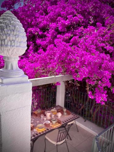 Centro Storico House | Le Dimore in Piazzetta
