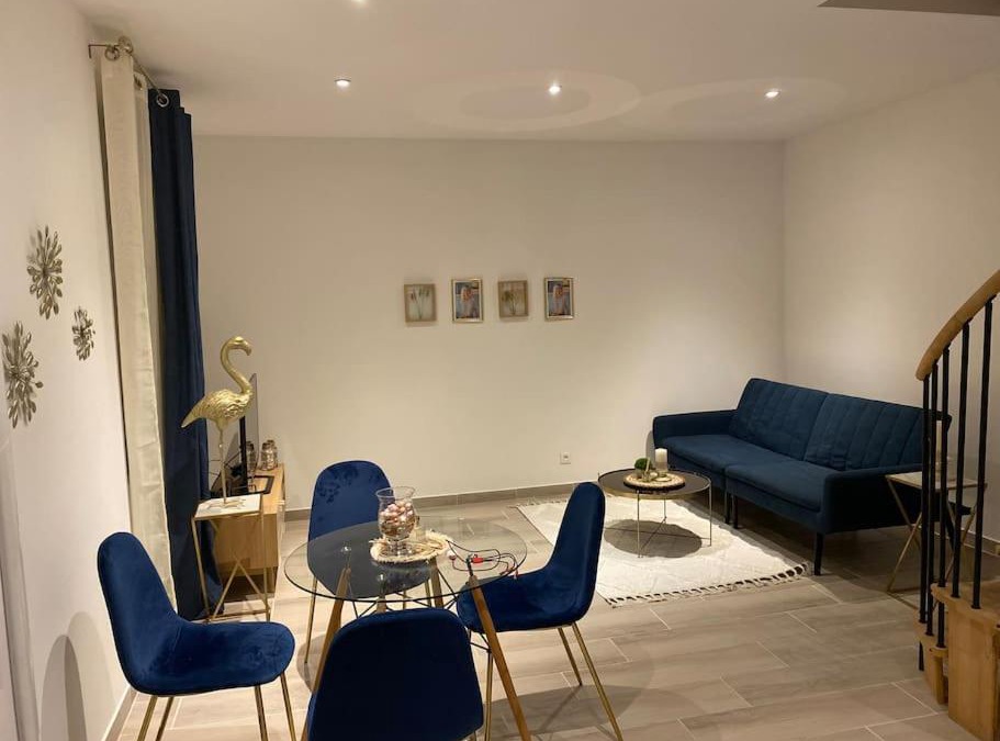 Chalon-sur-Saone Apartment | Le Duplex de l’Avenue
