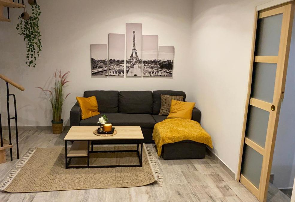 Chalon-sur-Saone Apartment | Le Duplex de Paris
