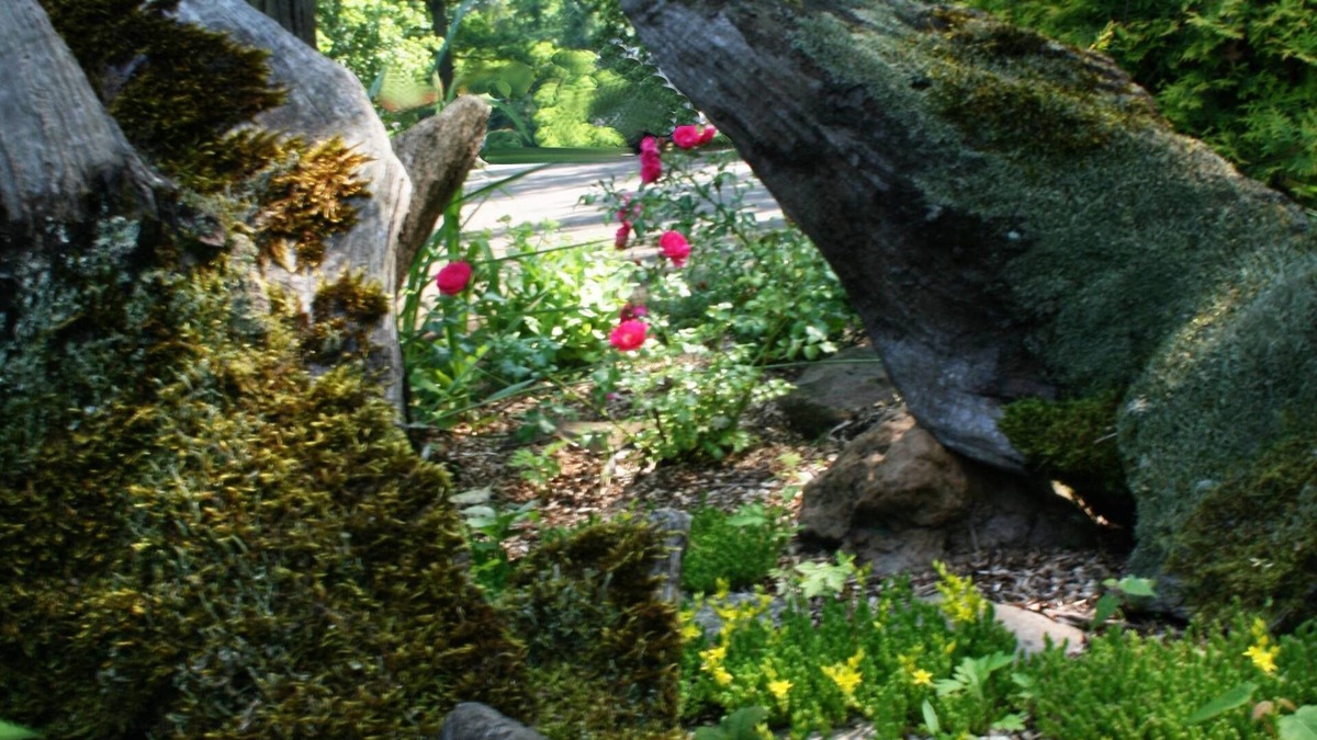 Melun Hotel | Le Grand Monarque