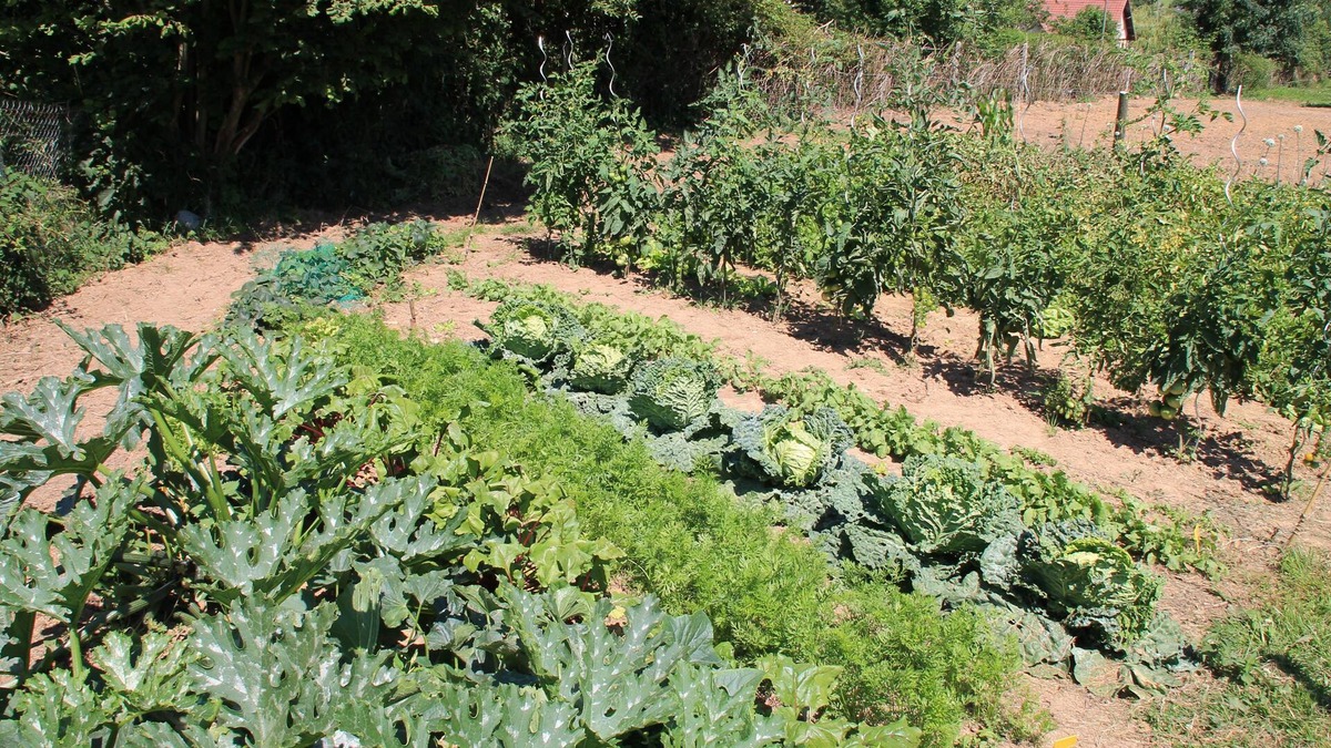 Mesnil-Follemprise Bed & Breakfast | Le Haut Mesnil - 5