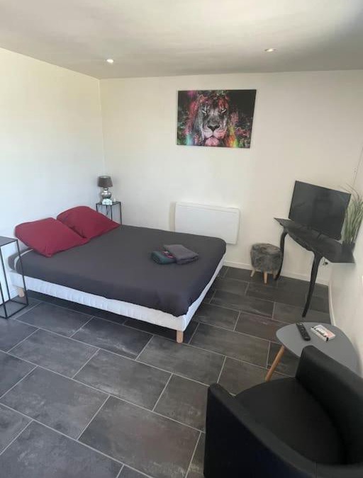 Paroy-sur-Tholon Apartment | Le Leone