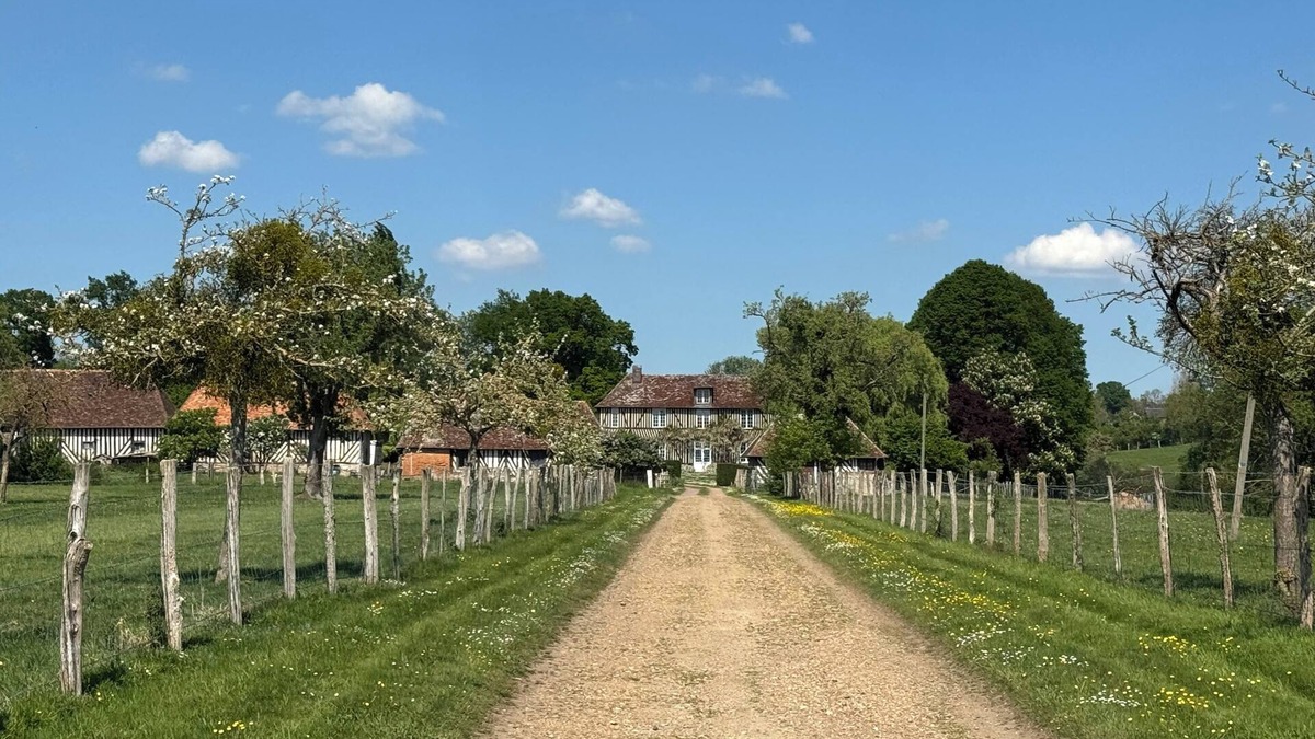 Lessard-et-le-Chene Other | Le Manoir familial du Quesnot, 10 to 22 pers.