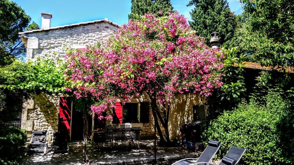 Tarascon House | Le mazet du mas