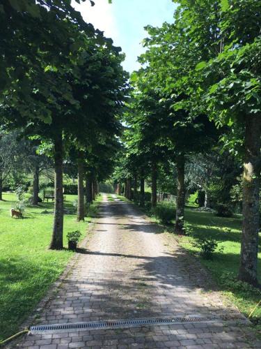 Barberino di Mugello House | Le Mulina