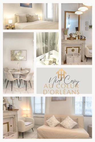 Saint-Vincent Apartment | Le Nid Cosy -Au Cœur d'Orléans
