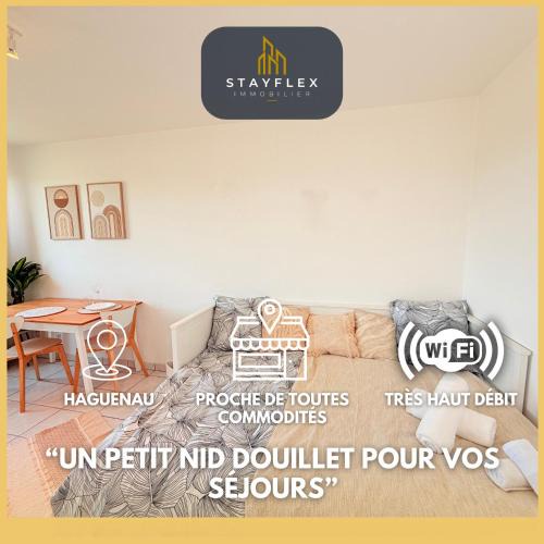 Haguenau Apartment | Le Nid Douillet - Parking Included - Haguenau