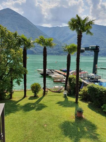 Cima House | Le palme Antonella