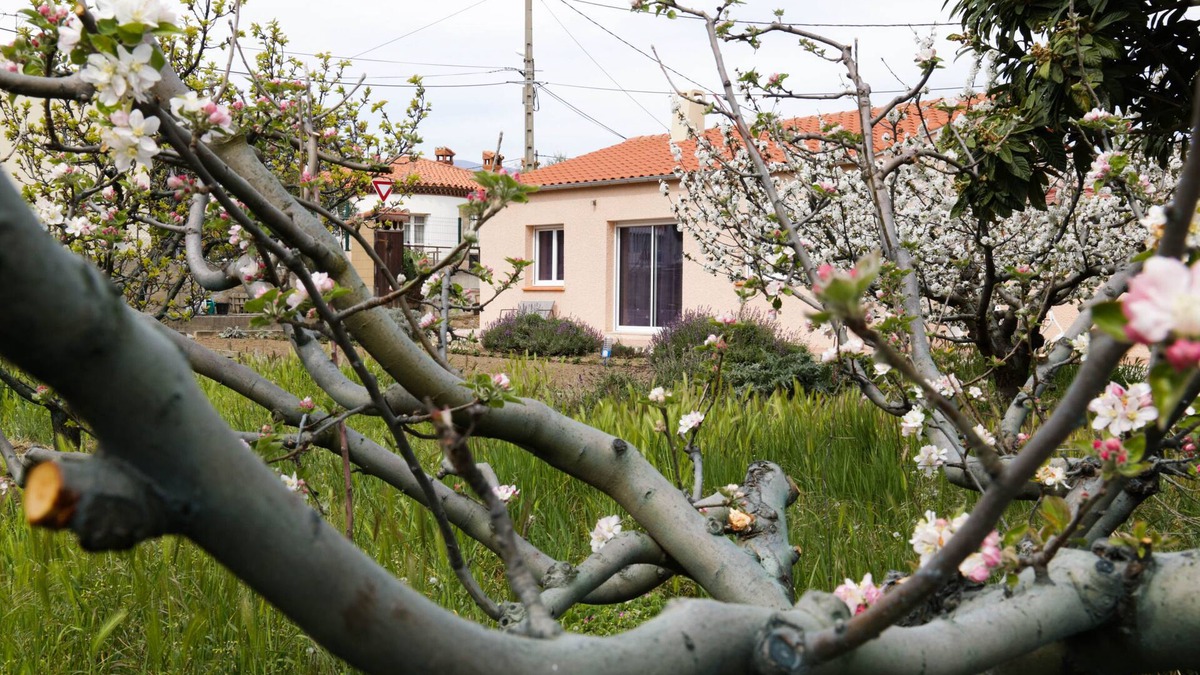 Prades House | Le Pavillon: Holidays and Hikes, Thermal Cures, Heritage and Festivals