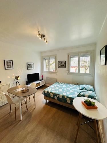 Charleville-Mezieres Apartment | Le Petit Gambetta