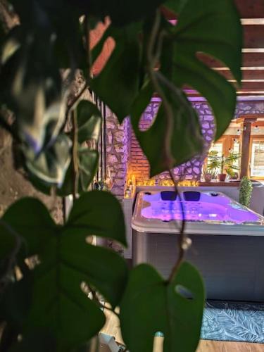 Tosny House | Le Petit Paradis