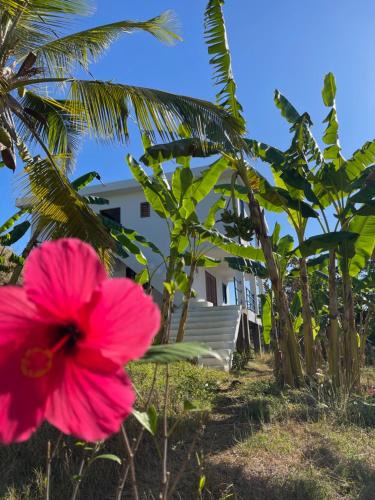 Nosy Be Apartment | Le petit Relais 1