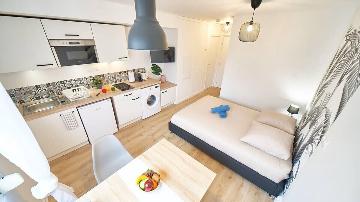 Jean Moulin - Marius Berliet Apartment | Le Petit Villon- Maison de la Danse-Montplaisir