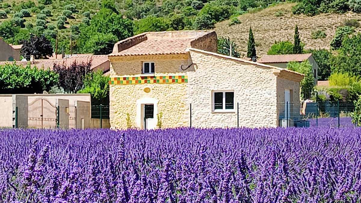 Malijai Villa | Le Pigeonnier D'adrien, Entouré de Lavande