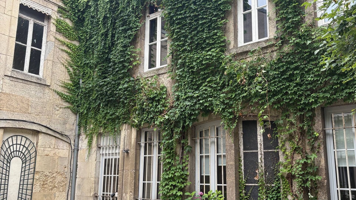 Dijon Centre Ville Apartment | Le Préfecture - Haussmann-style in the heart of Dijon