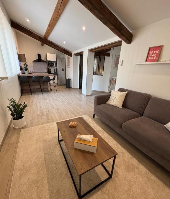 Macon Apartment | Le ST PIERRE, joli T2 entièrement rénové en plein coeur du centre ville