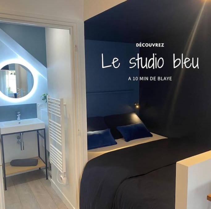 Eyrans Apartment | Le Studio bleu à 10 min de Blaye - climatisé