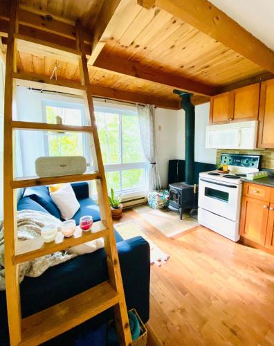 Mont-Tremblant Pedestrian Village Apartment | Le Tiny loft ski in ski out