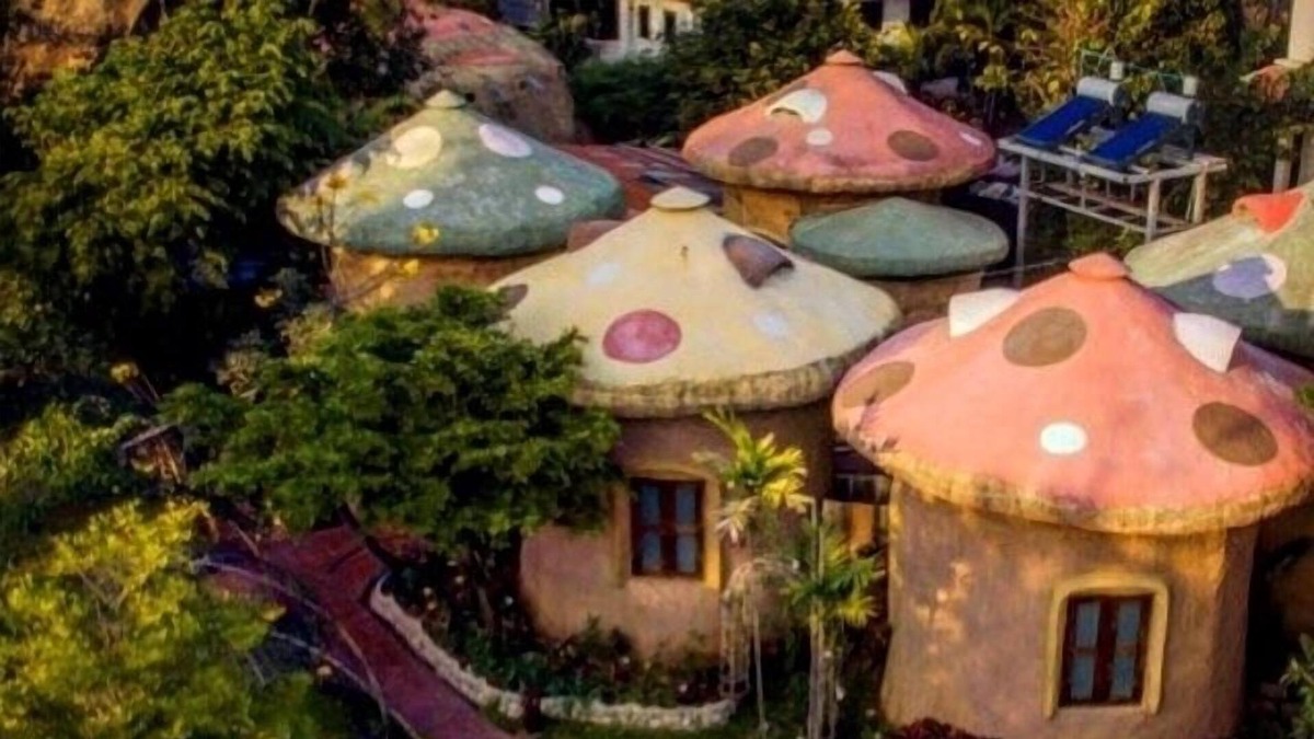 Chang Phueak Cottage | Leafy Greens Chiangmai: Mushroom House M2