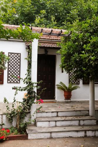 Horto House | Lemon Tree House