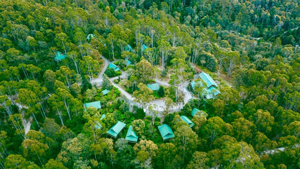 Moina Hotel | Lemonthyme Wilderness Retreat