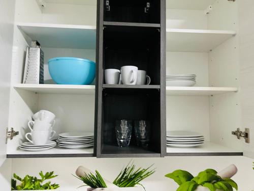 Leitendorf Apartment | Leoben Top 6