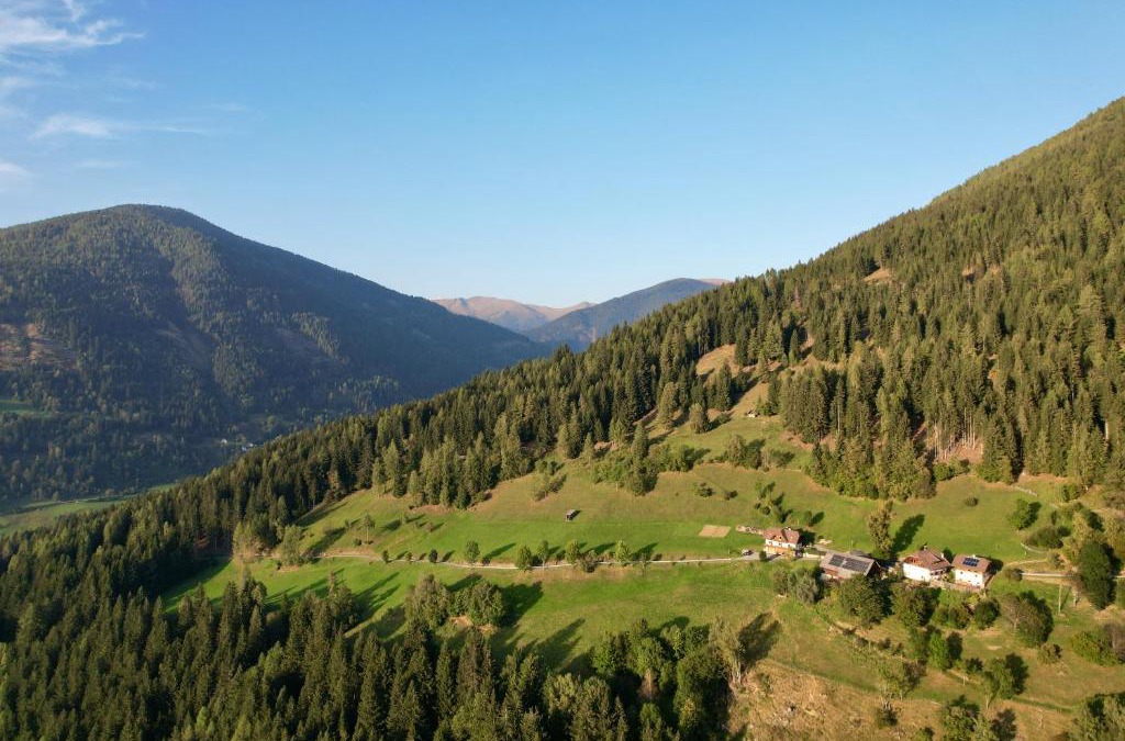 Feld am See Apartment | Lercherhof