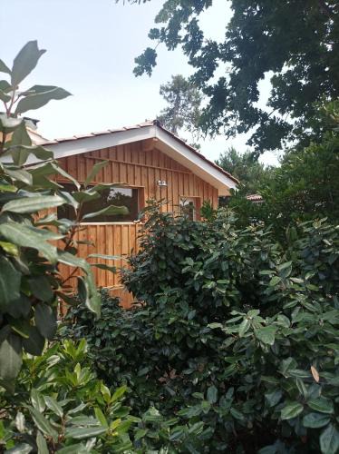 Vendays-Montalivet Bed & Breakfast | Les Bambous