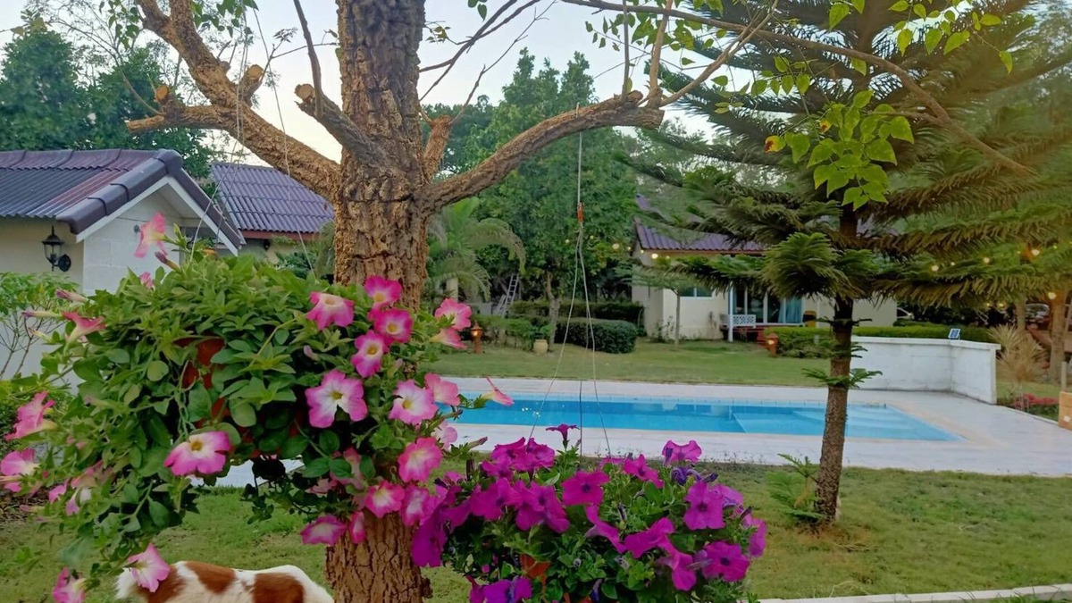 Pak Chong Hotel | Les Collines Resort