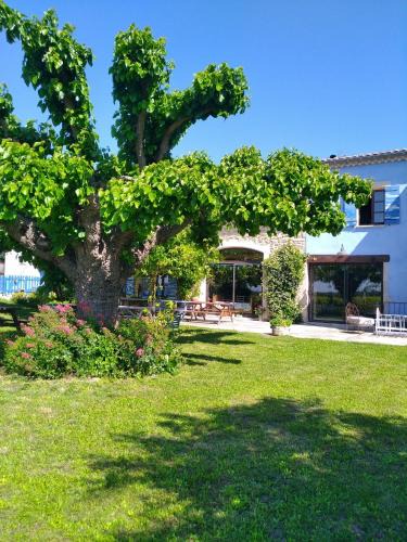 Richerenches House | Les Coquettes