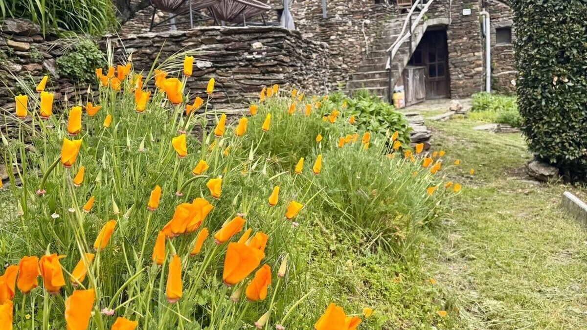 Ventalon-en-Cevennes House | Les Hôtes du Châtaignier