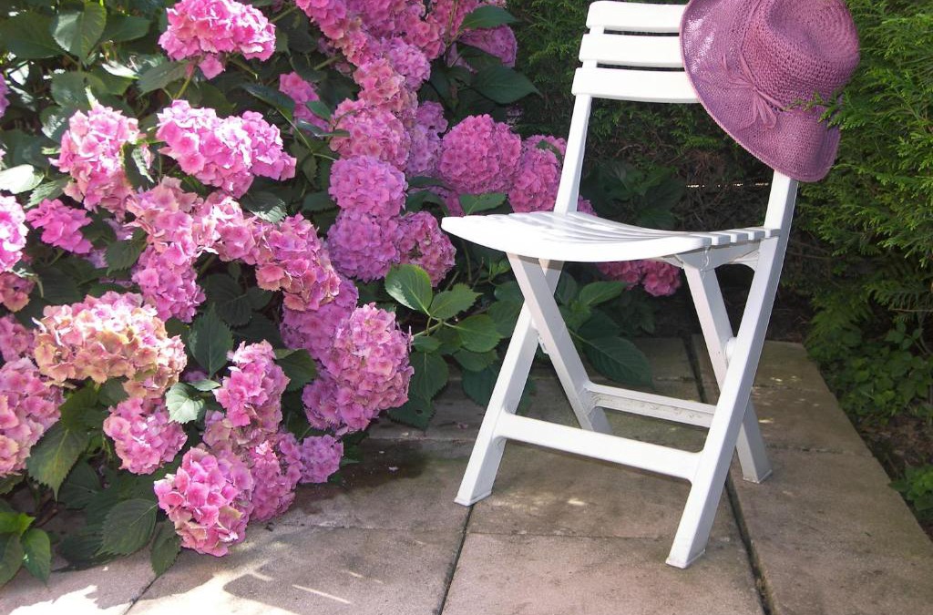 Saint-Philippe Apartment | LES HORTENSIAS