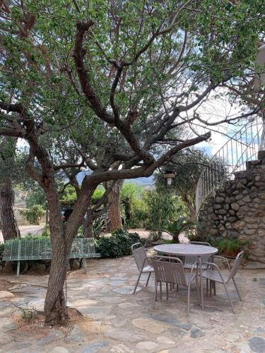 Plage d'Argeles Apartment | Les Meublés de la Corniche