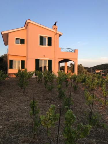 Vilatoria House | Les Oliviers Villa with Sea view on Petani Beach