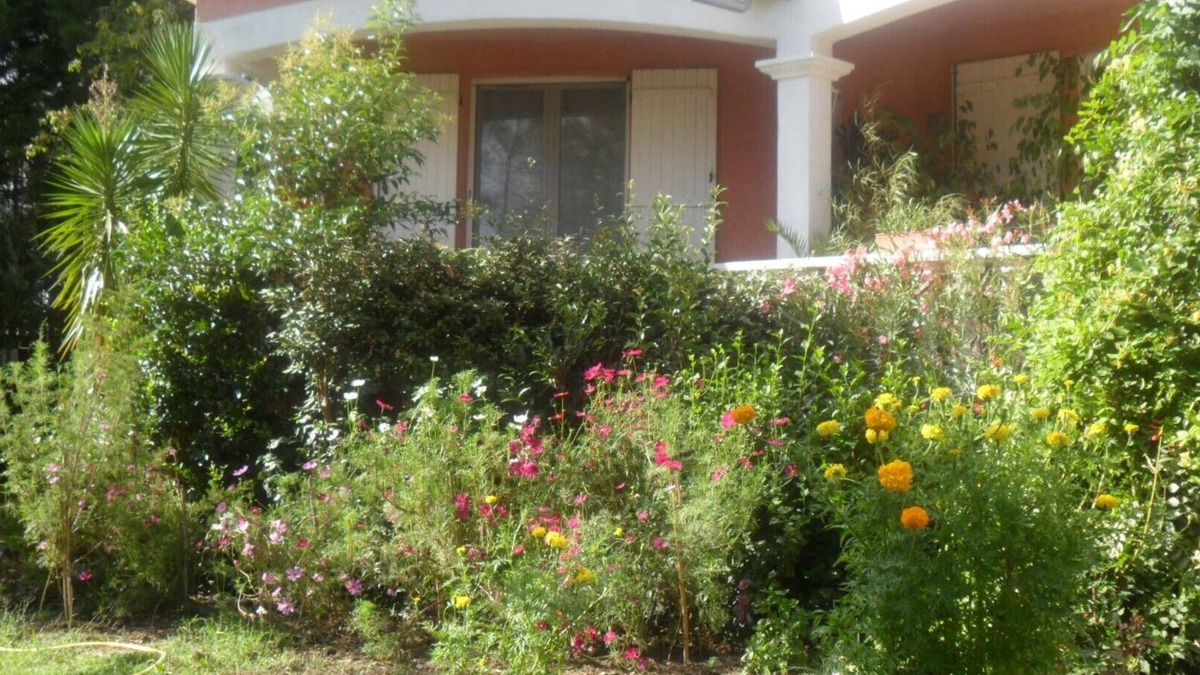 Saliers Apartment | LES PALMIERS: Beautiful, peaceful setting in a Camargue hamlet