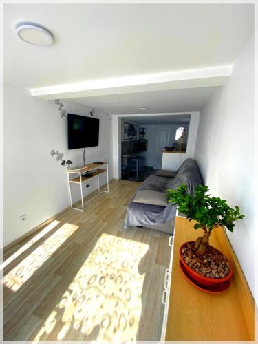 Rai Apartment | Les Papillons Studio La Foulnerie avec cour autonome 61270 Rai proche 61300 l'Aigle -Sanateflo-