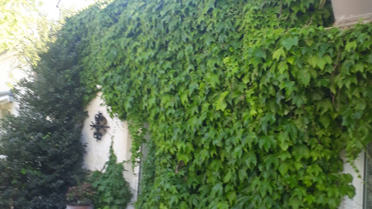 Varrains Cottage | Les Rogelins, cottage